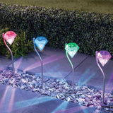 NİGHT LAMP