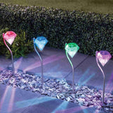 NİGHT LAMP
