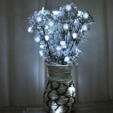 NİGHTLAMP