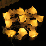 Night Lamp